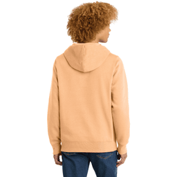 Back (Model)