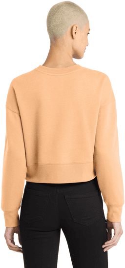 Back (Model)