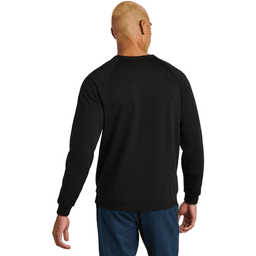Back (Model)