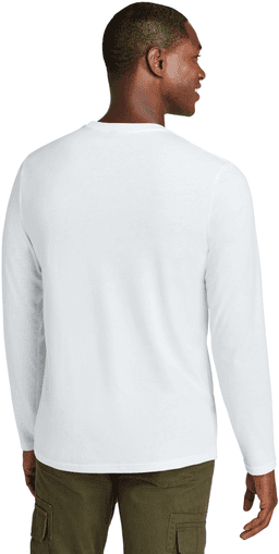 Back (Model)