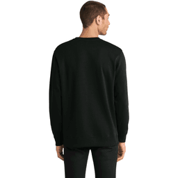 Back (Model)