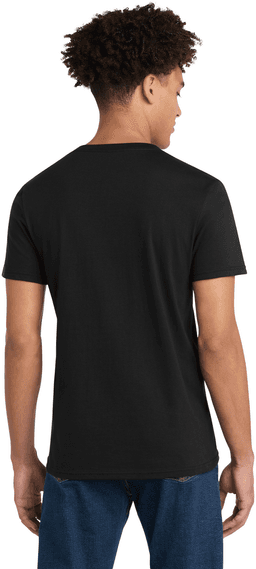 Back (Model)