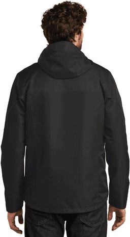 Back (Model)
