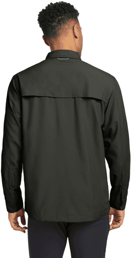 Back (Model)
