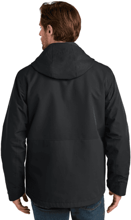 Back (Model)