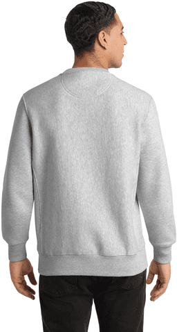 Back (Model)