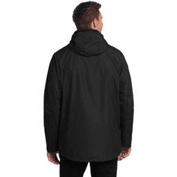 Back (Model)