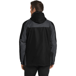 Back (Model)