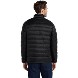 Back (Model)