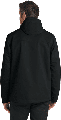 Back (Model)