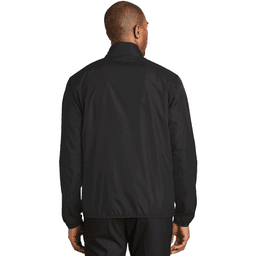 Back (Model)