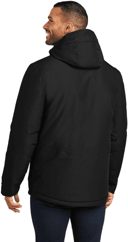 Back (Model)