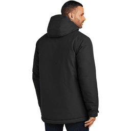 Back (Model)