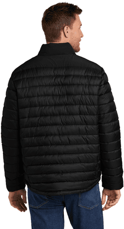 Back (Model)