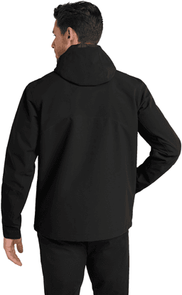 Back (Model)