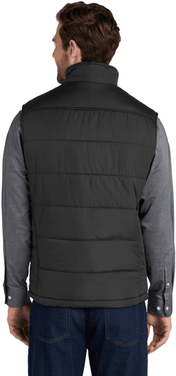 Back (Model)