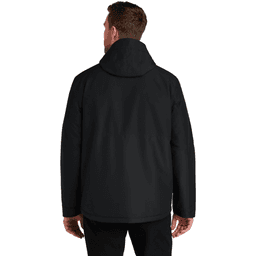 Back (Model)