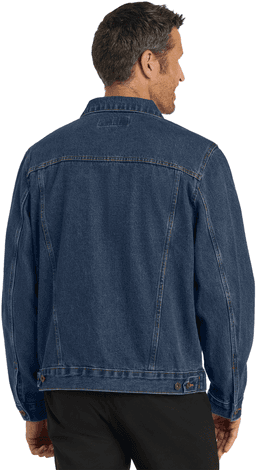 Back (Model)