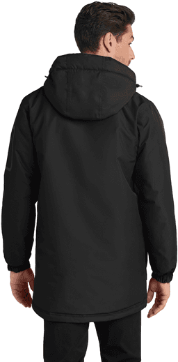 Back (Model)