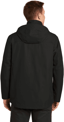 Back (Model)