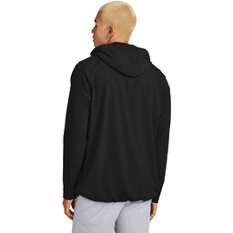 Back (Model)