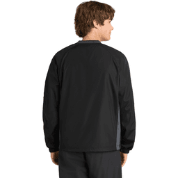 Back (Model)