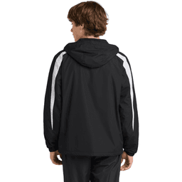 Back (Model)