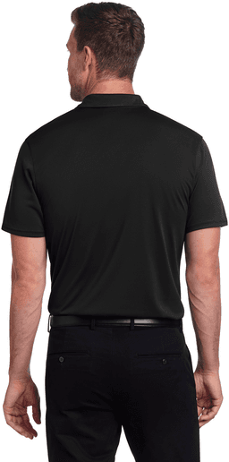 Back (Model)