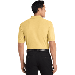 Back (Model)
