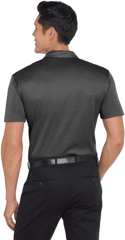 Back (Model)