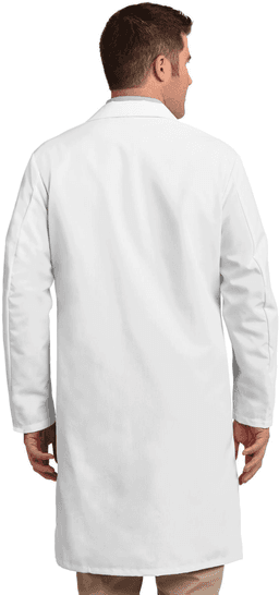 Back (Model)