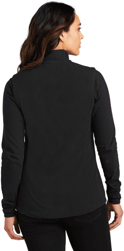 Back (Model)