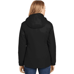 Back (Model)