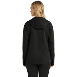 Back (Model)
