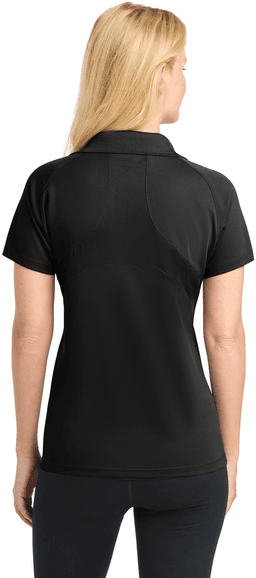 Back (Model)