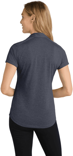 Back (Model)