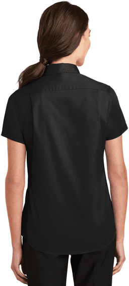 Back (Model)