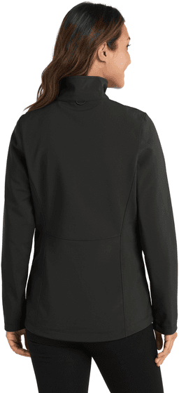 Back (Model)