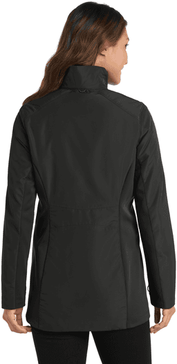 Back (Model)