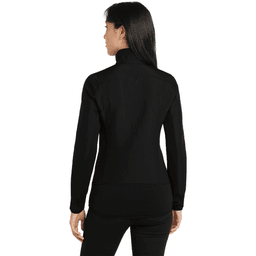 Back (Model)