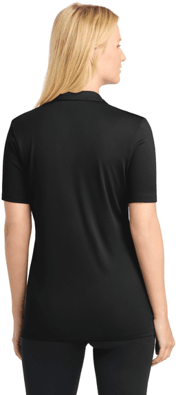 Back (Model)