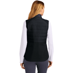 Back (Model)