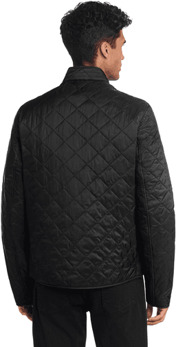 Back (Model)