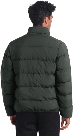 Back (Model)
