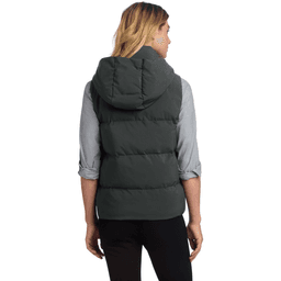 Back (Model)