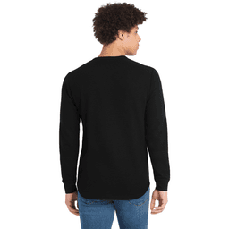 Back (Model)