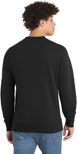 Back (Model)