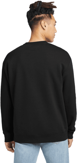 Back (Model)