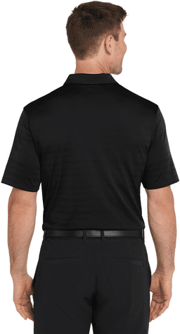 Back (Model)