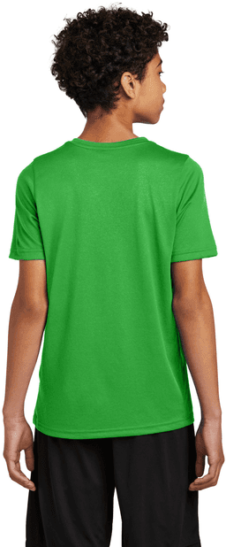 Back (Model)